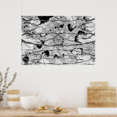 化石 ポスター (キッチン)