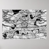 化石 ポスター (正面)