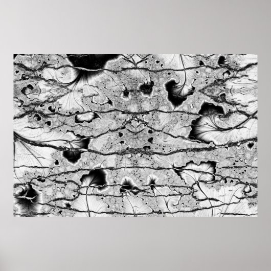 化石 ポスター (正面)