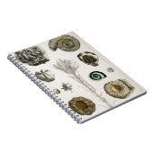 化石、恐竜、化石、古生物学、地質学 ノートブック (右側)