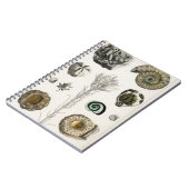 化石、恐竜、化石、古生物学、地質学 ノートブック (左側)