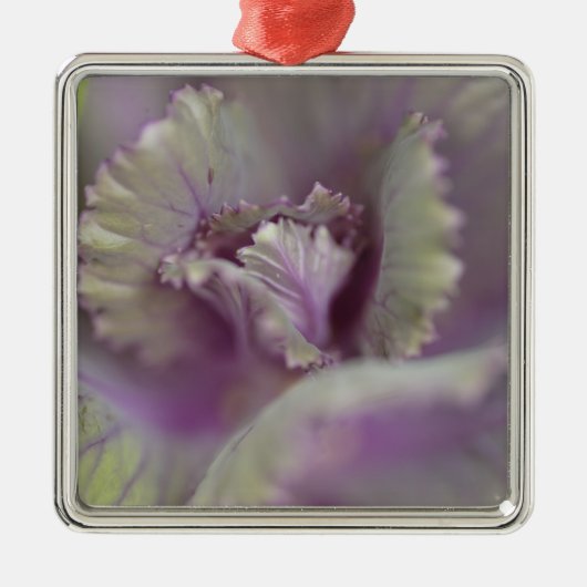 化粧キャベツ メタルオーナメント (正面)