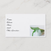 化粧品 名刺 (裏面)