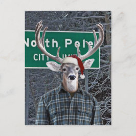 北おもしろい極でサンタ帽をかぶった鹿 シーズンポストカード