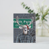 北おもしろい極でサンタ帽をかぶった鹿 シーズンポストカード (スタンド正面)