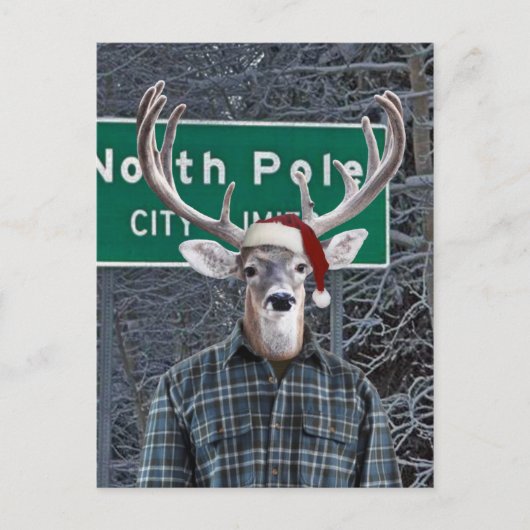 北おもしろい極でサンタ帽をかぶった鹿 シーズンポストカード (正面)