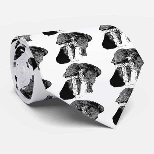 北のオオタカ ネクタイ (ロール)