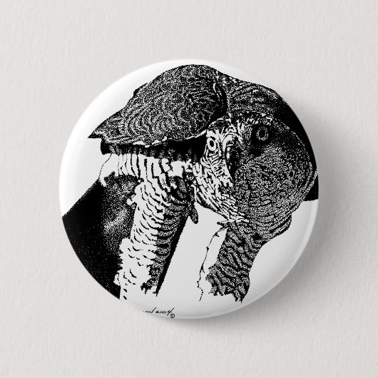 北のオオタカ 缶バッジ (正面)