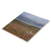 北のサンフランシスコ2ポイントレイエスの国民 タイル (側面)