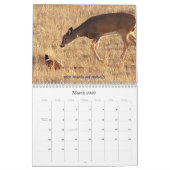 北のノースダコタのシカの写真 カレンダー (3月 2026)