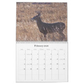 北のノースダコタのシカの写真 カレンダー (2月 2026)