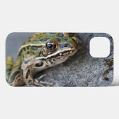 北のヒョウカエル、島見によって、 Case-Mate iPhoneケース (裏面 (横))