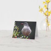 北のマネシツグミ-ジョーSweeney -カード カード (黄色い花)