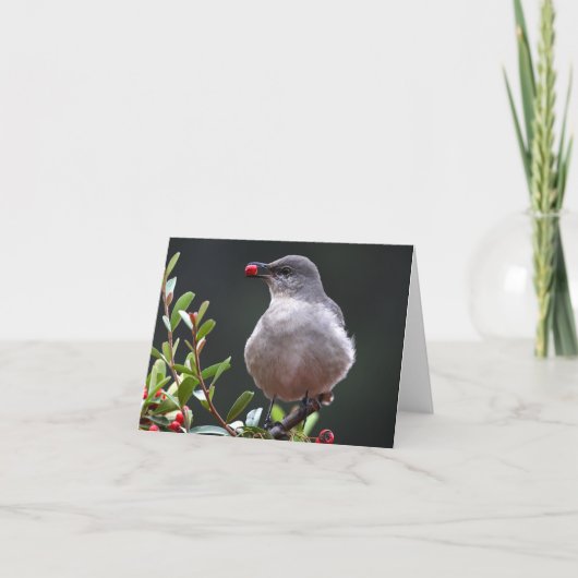 北のマネシツグミ-ジョーSweeney -カード カード (正面)