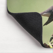 北のマネシツグミ マウスパッド (コーナー)