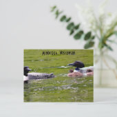 北のルーンズの上にミニチュア語ウィスコンシン葉書レイクアップ ポストカード (スタンド正面)