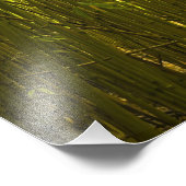 北のワイカモイ尾根の近くの竹林 フォトプリント            (角)