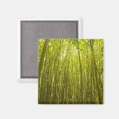 北のワイカモイ尾根の近くの竹林 マグネット (正面/裏面)
