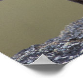 北の中央に沿ってハゲワシ赤いキツネ2 ポスター (角)