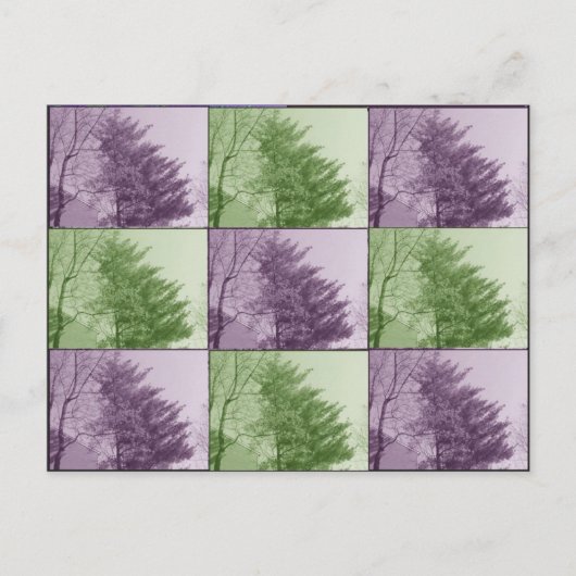 北の九番地 ポストカード (正面)