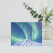 北の光 ポストカード (スタンド正面)