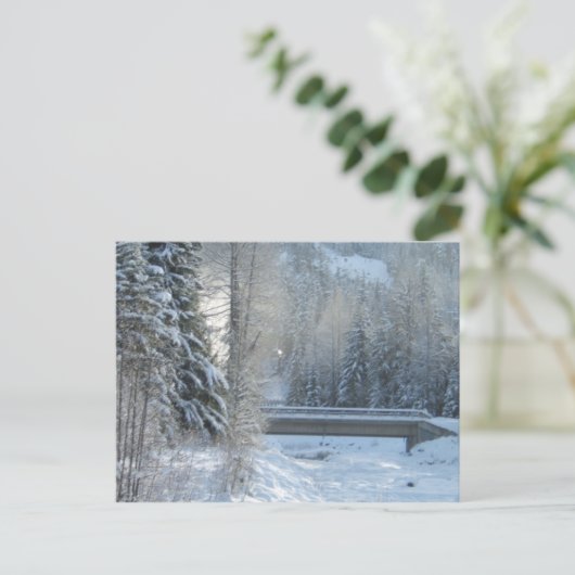 北の冬 ポストカード (スタンド正面)