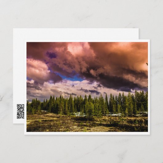 北の劇的な風景 ポストカード (正面/裏面)