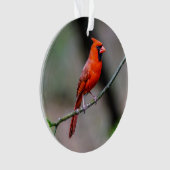 北の基本的なアクリルのオーナメント オーナメント (正面)