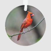 北の基本的なアクリルのオーナメント オーナメント (裏面)