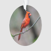 北の基本的なアクリルのオーナメント オーナメント (正面)