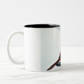 北の基本的な写真 ツートーンマグカップ (左)