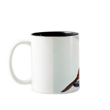 北の基本的な写真