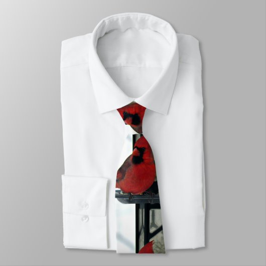 北の基本的な写真 ネクタイ (タイ)