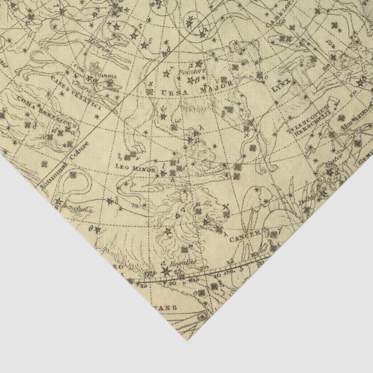 北の天半球 薄葉紙 (詳細)