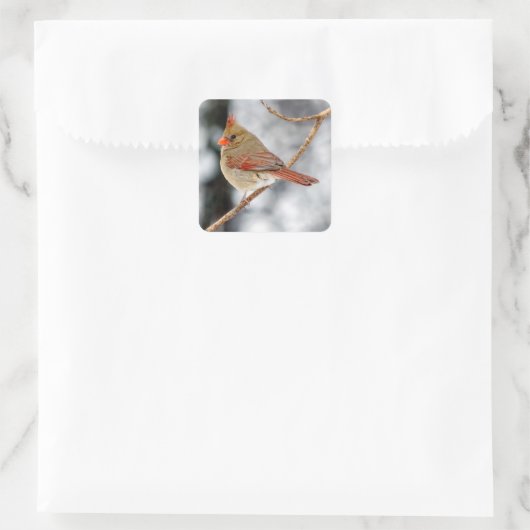 北の女性(鳥)ショウジョウコウカンチョウシール スクエアシール (バッグ)