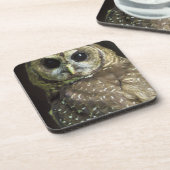 北の斑点を付けられたフクロウ コースター (左側)