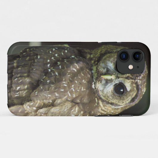 北の斑点を付けられたフクロウ Case-Mate iPhoneケース (裏面(横))