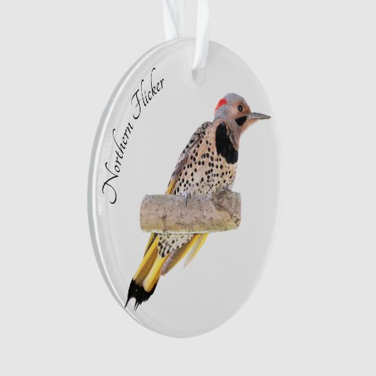 北の明滅 オーナメント (正面)