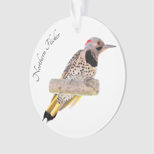 北の明滅 オーナメント (正面)