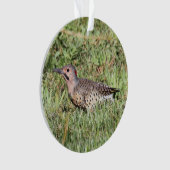 北の明滅 オーナメント (正面)