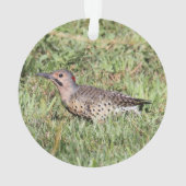 北の明滅 オーナメント (裏面)