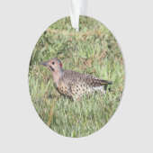 北の明滅 オーナメント (正面)