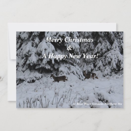 「北の木の上の季節だ！ (裏面)