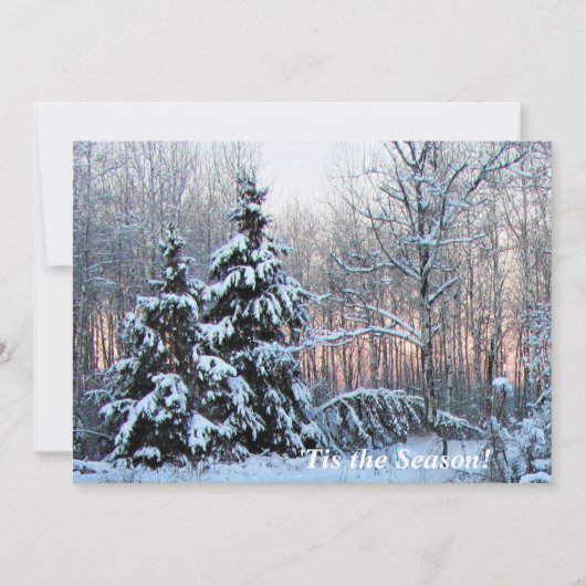 「北の木の上の季節だ！バラ色の夕日 (正面)