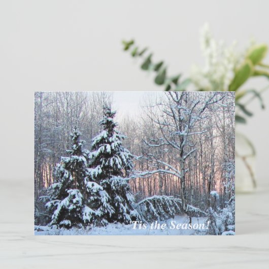 「北の木の上の季節だ！バラ色の夕日 (スタンド正面)