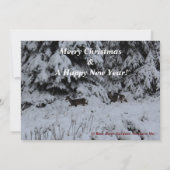 「北の木の上の季節だ！バラ色の夕日 (裏面)