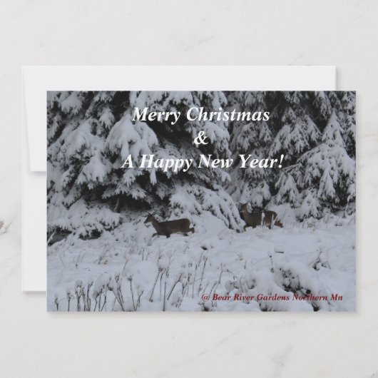 「北の木の上の季節だ！バラ色の夕日 (裏面)