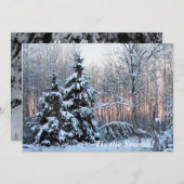 「北の木の上の季節だ！バラ色の夕日 (正面/裏面)