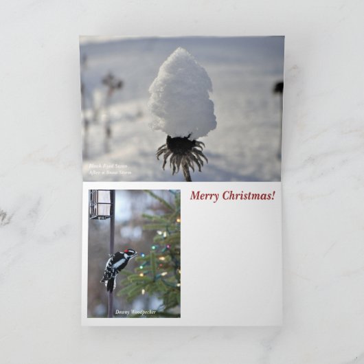 「北の木の上の季節だ!メリークリスマス サンキューカード (内部)