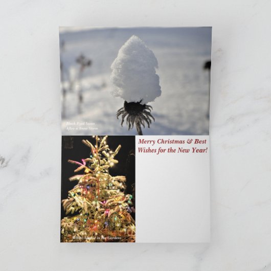 「北の木の上の季節だ！メリークリスマス サンキューカード (内部)